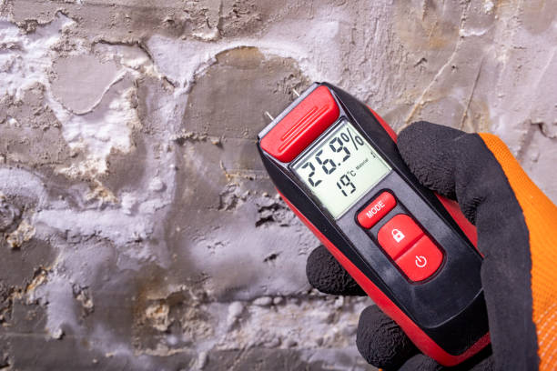 Placerville, CA Mold Remediation Company
