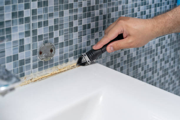 Best Bathroom Mold Remediation in Placerville, CA